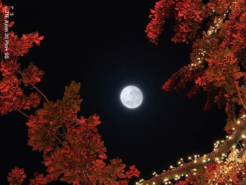 ​中兴开启移动影像第三纪元 引领多主摄阵列融合影像