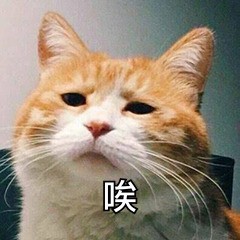 【itc 5G WiFi无线会议系统】开会就该简单高效！