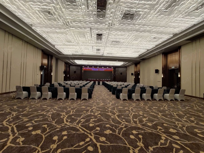 【会议扩声、舞台灯光、分布式平台案例】驻马店国际会展中心