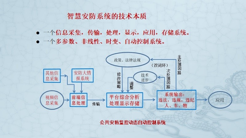 王汝琳教授：大数据促进智慧安防建设