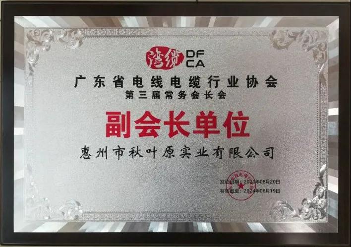 重磅荣誉，实力见证！秋叶原荣获“2020年首批企业综合实力五星企业”