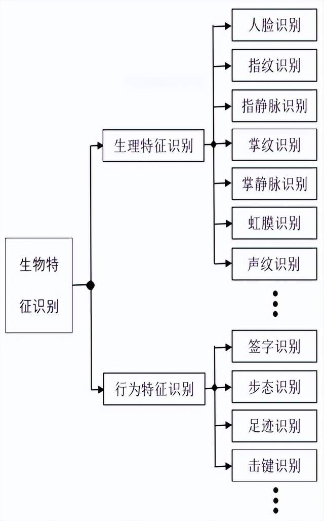 《公共安全生物特征识别术语》国家标准解读