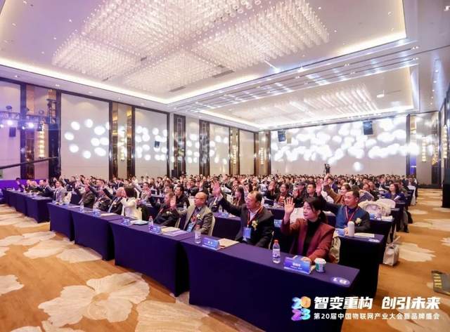 中国安全防范产品行业协会能评中心主任陈岩：发挥领头羊作用，携手推动安防新经济！