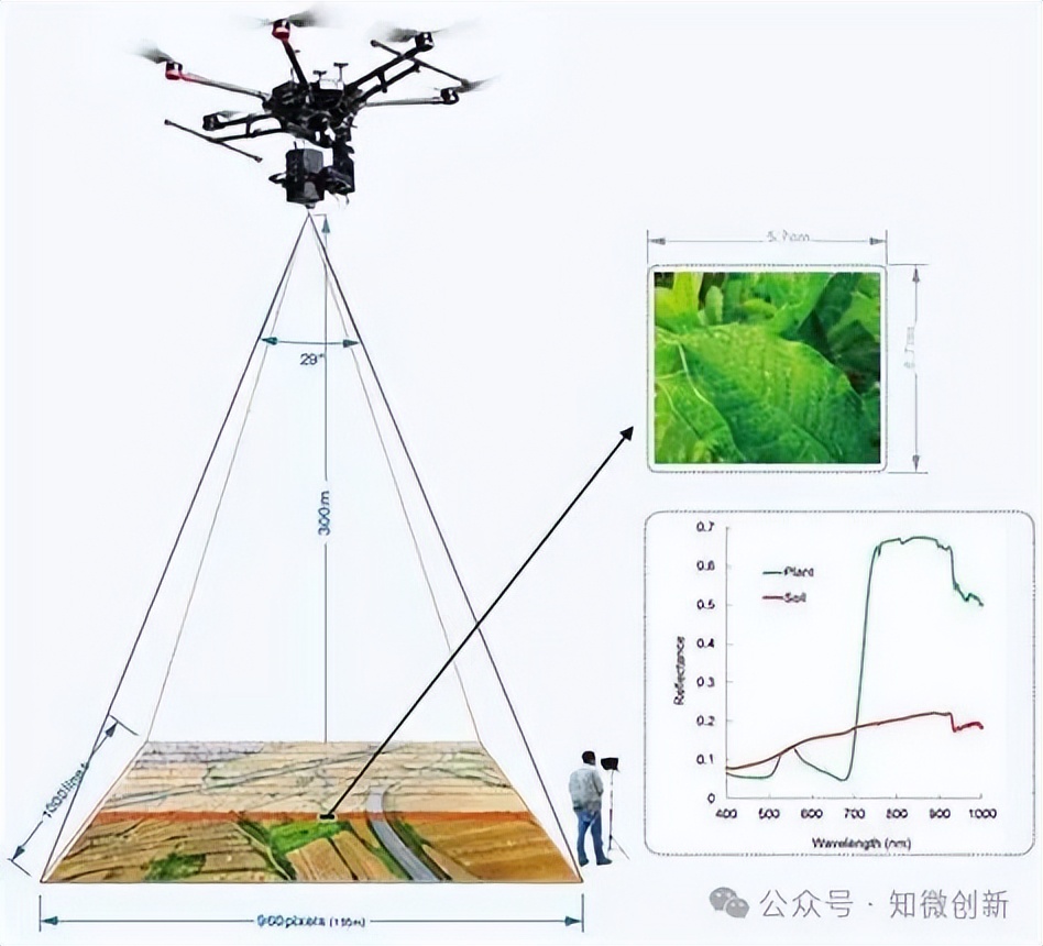 未来生物识别的“光谱猎手”：高光谱传感器