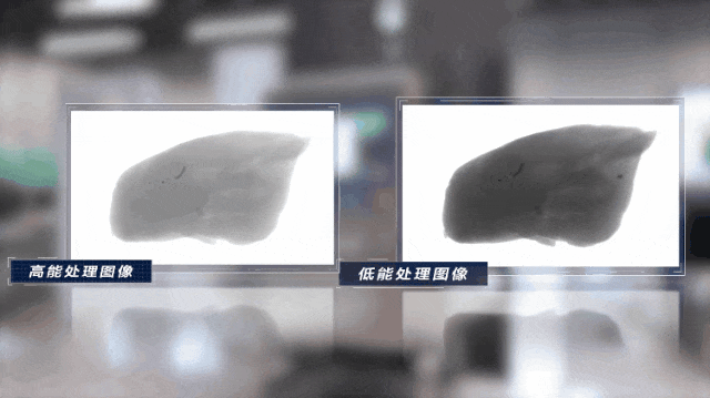 鸡肉里挑骨头，薯条里找石子…这位大模型质检员“下工厂”了