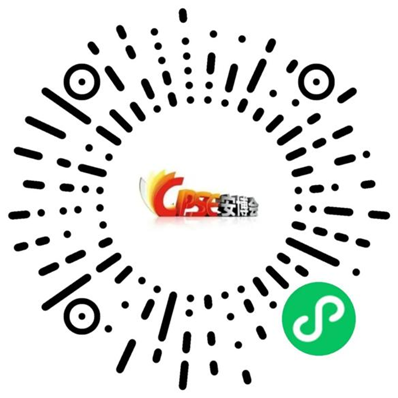 2025CPSE安博会：数字之光，点亮千行百业