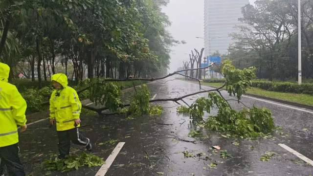 “风王”桦加沙来袭!AI战术成抗击台风“最强王牌”? “风王”桦加沙来袭!AI战术成抗击台风“最强王牌”?