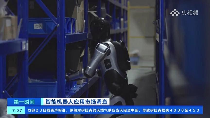 200元一天就能带个机器人回家？！你想试试吗～