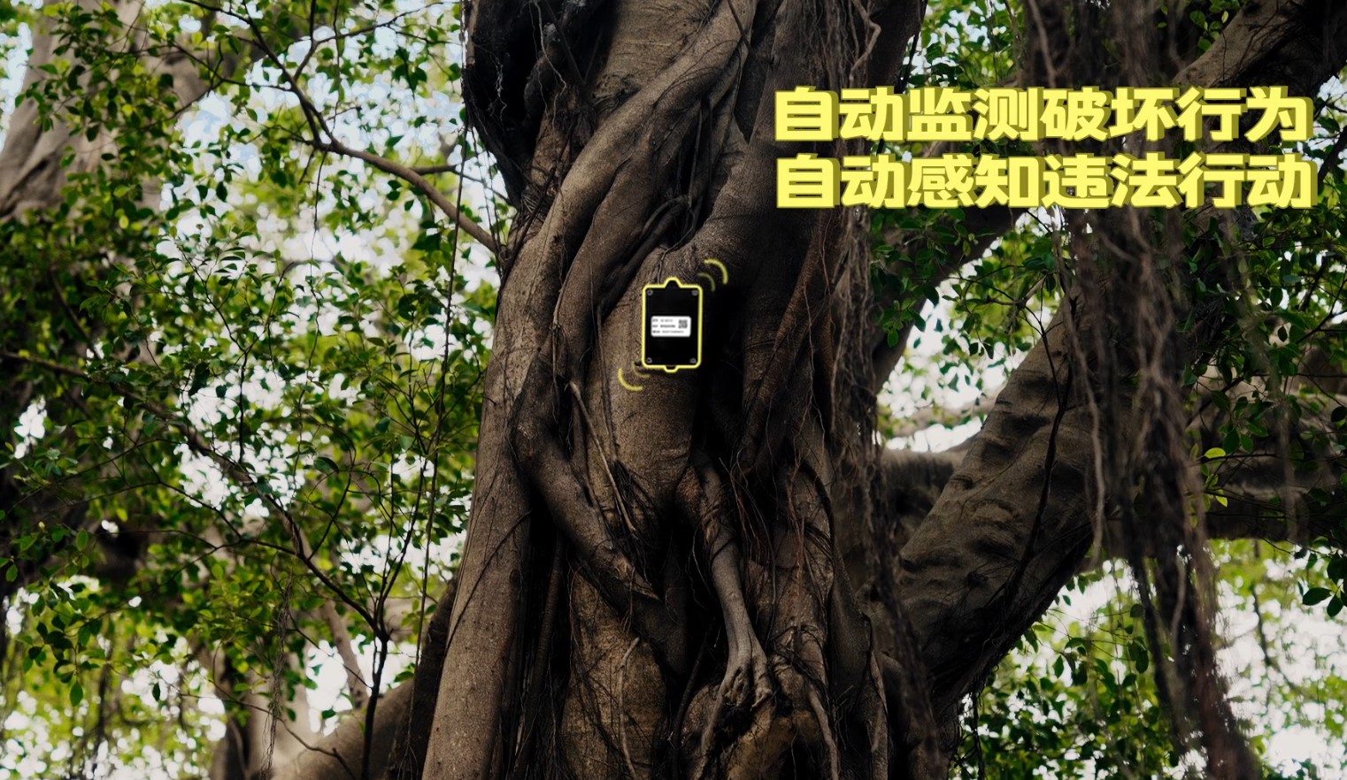 大模型为城市治理减负增效!海康威视助力广州白云城管精“绣”“智”理 大模型为城市治理减负增效!海康威视助力广州白云城管精“绣”“智”理